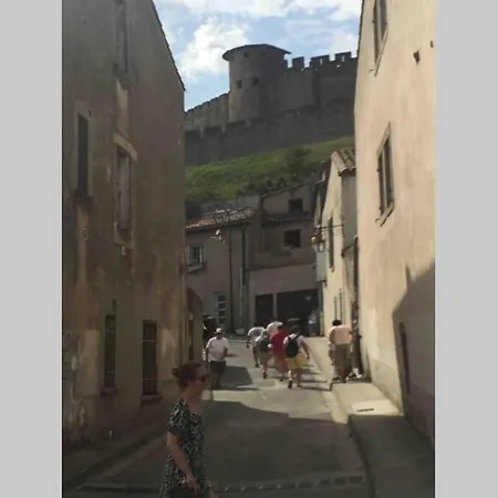 Maison Rue Trivalle Carcassonne Exterior photo